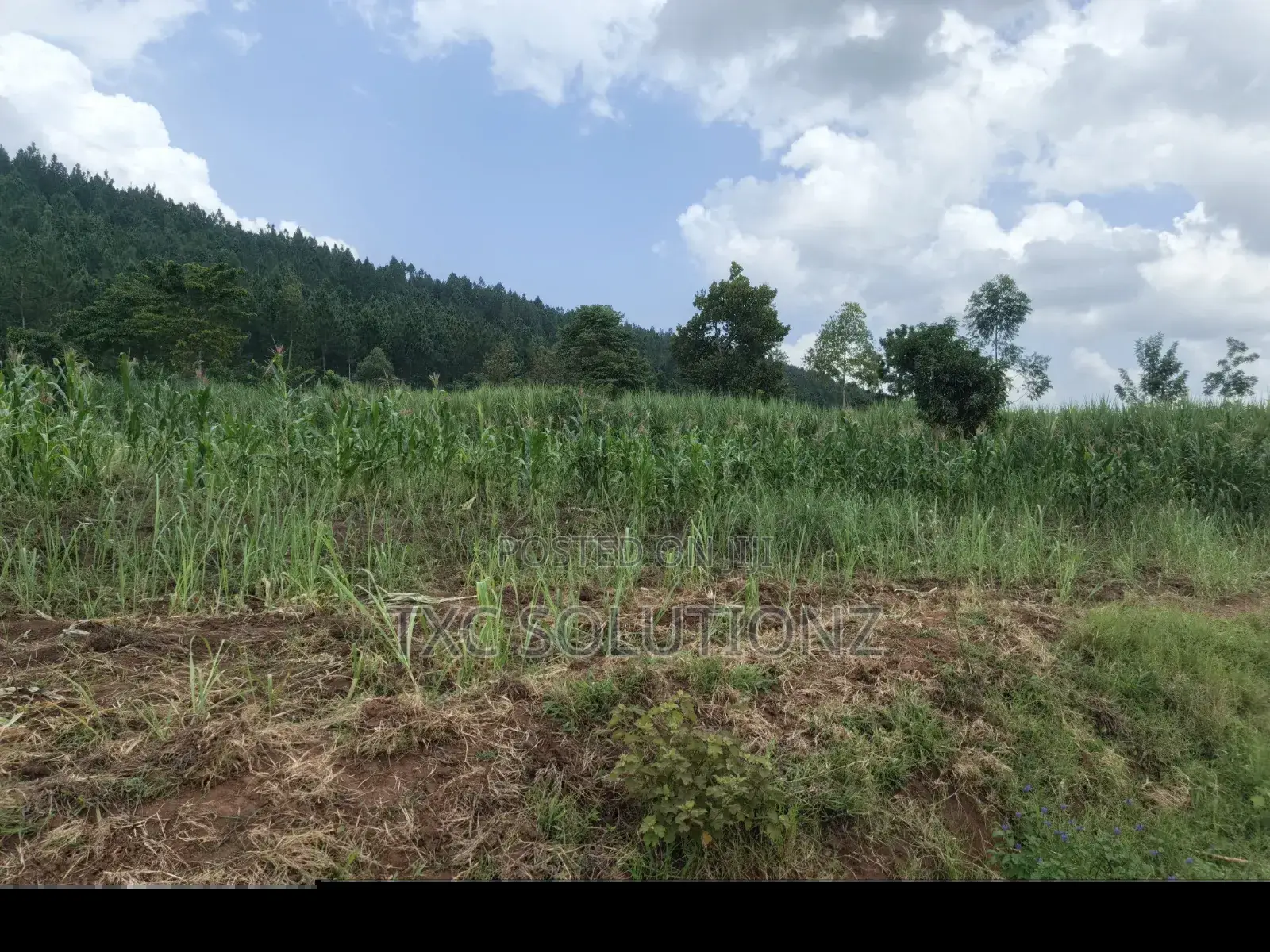 Plot for Sale Jinja-Kagoma on Kamuli Road