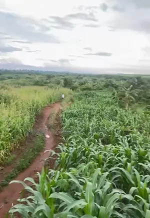 54 Acres of Land for Sale in Kakooge--Luweero