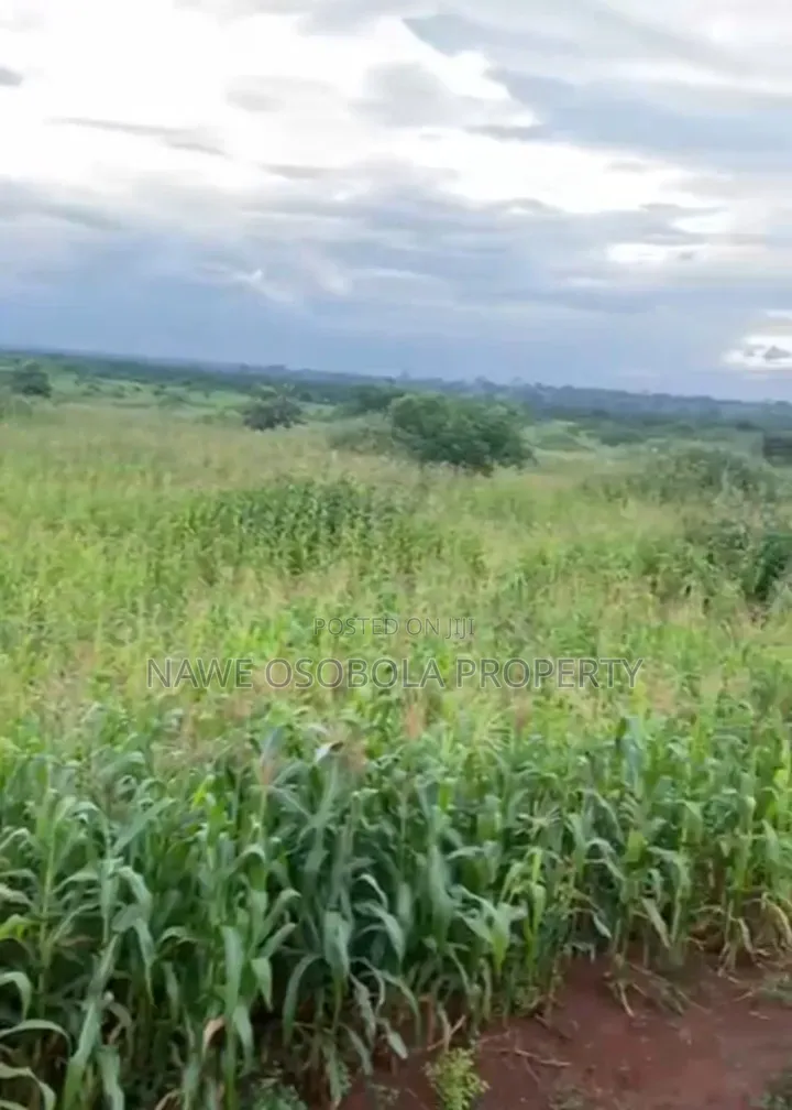 54 Acres of Land for Sale in Kakooge--Luweero