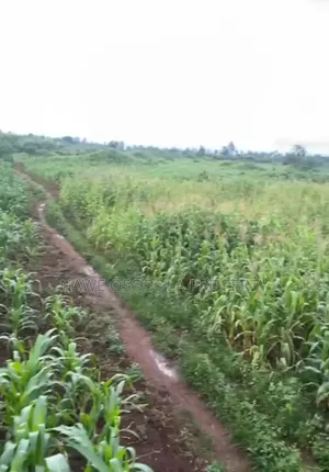 54 Acres of Land for Sale in Kakooge--Luweero