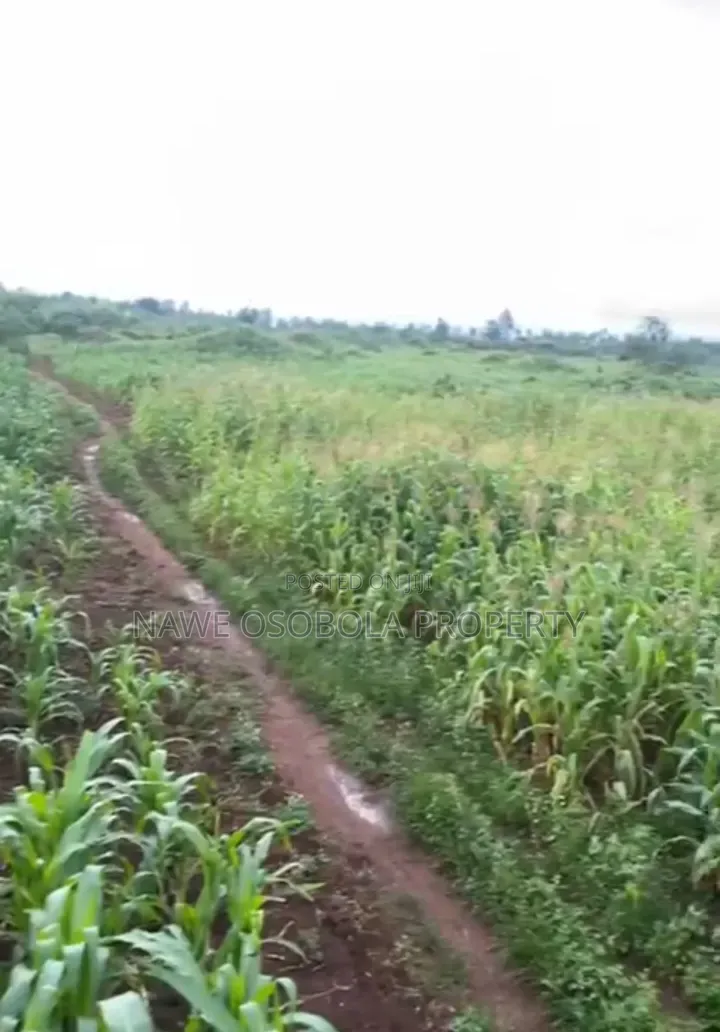 54 Acres of Land for Sale in Kakooge--Luweero