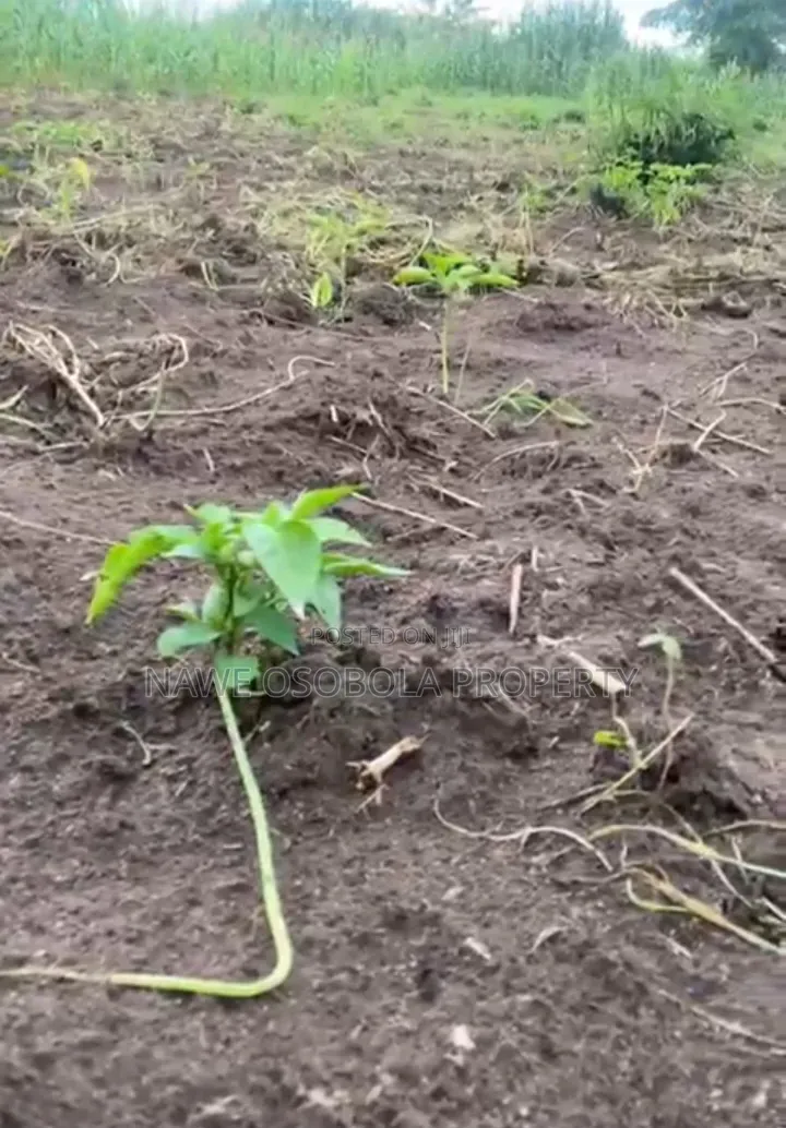 54 Acres of Land for Sale in Kakooge--Luweero