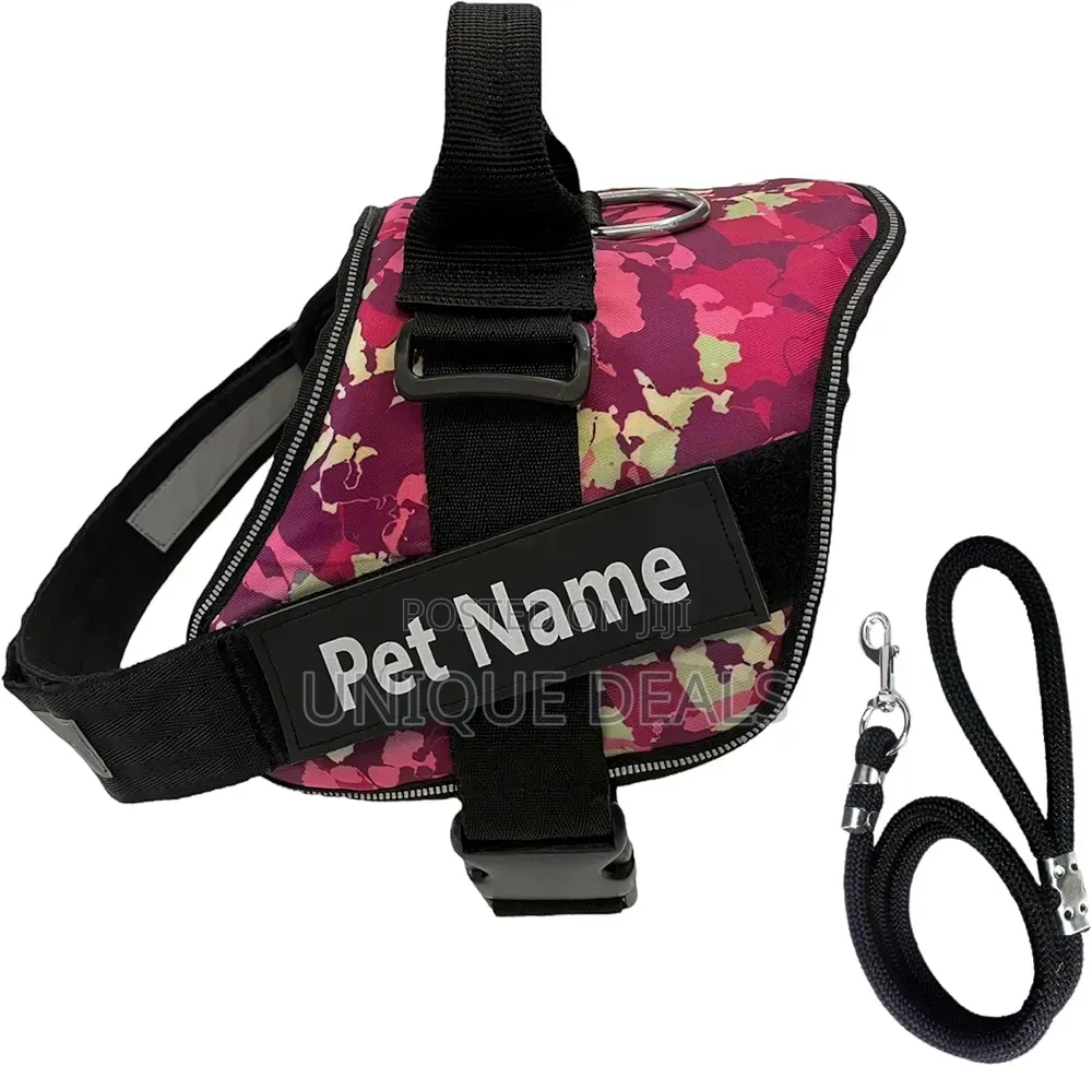 Pets Personalized Dog Harness With Leash