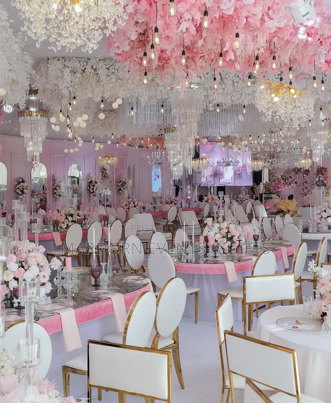 Mega Tent Introduction Decoration