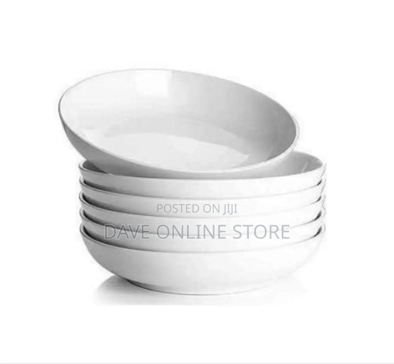 6 Dinner Plates