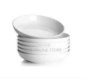6 Dinner Plates