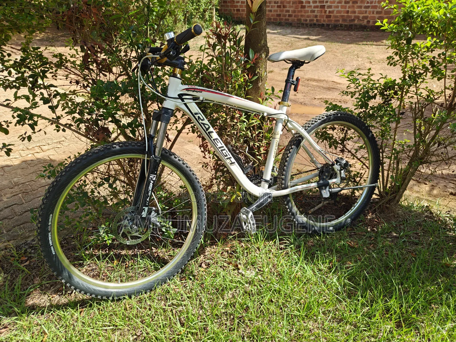 Raleigh Mojave MTB