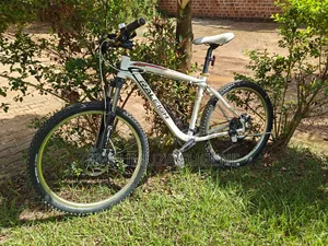 Raleigh Mojave MTB