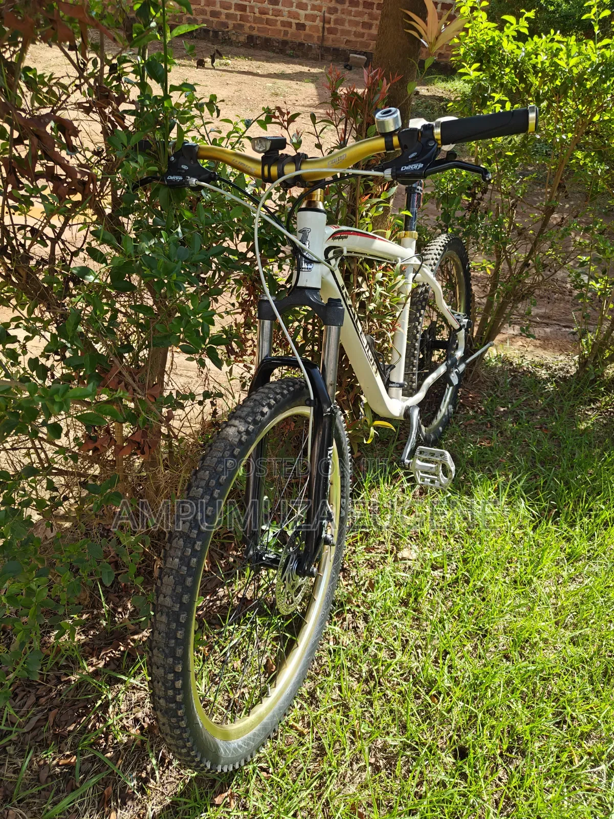 Raleigh Mojave MTB