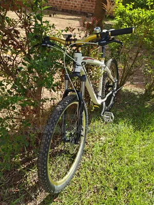 Raleigh Mojave MTB