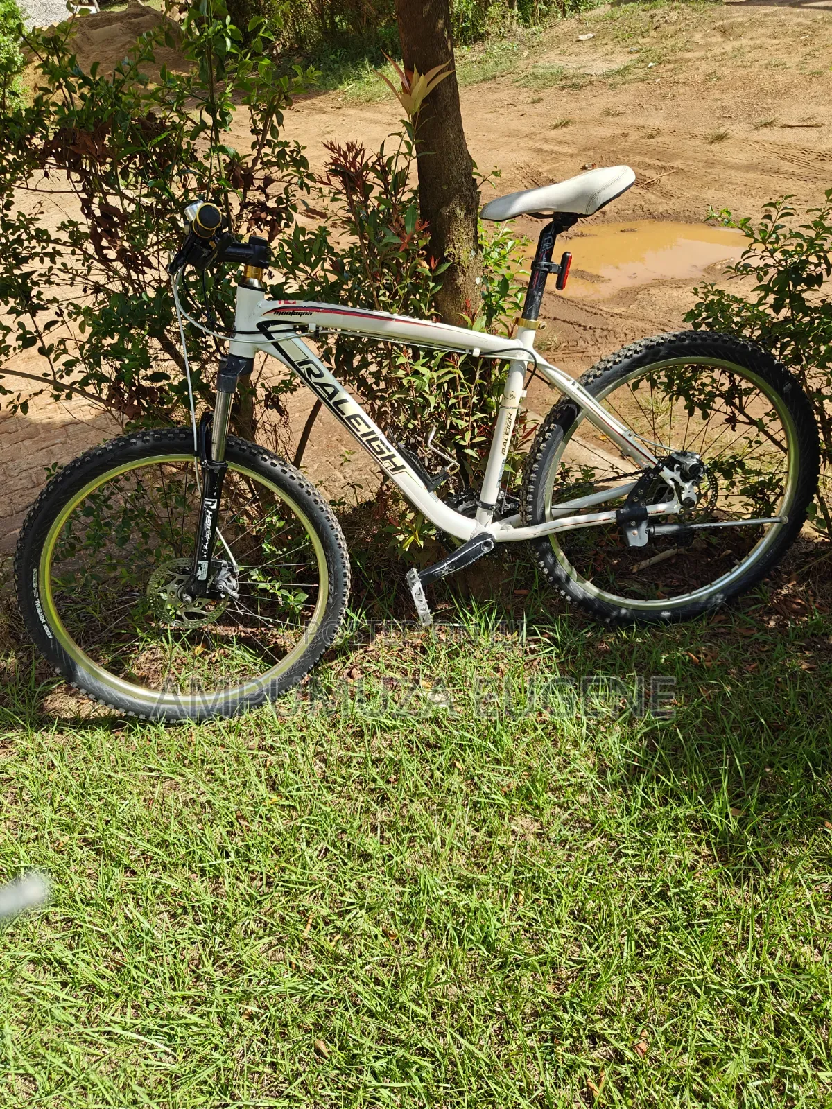 Raleigh Mojave MTB
