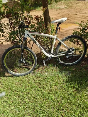 Raleigh Mojave MTB