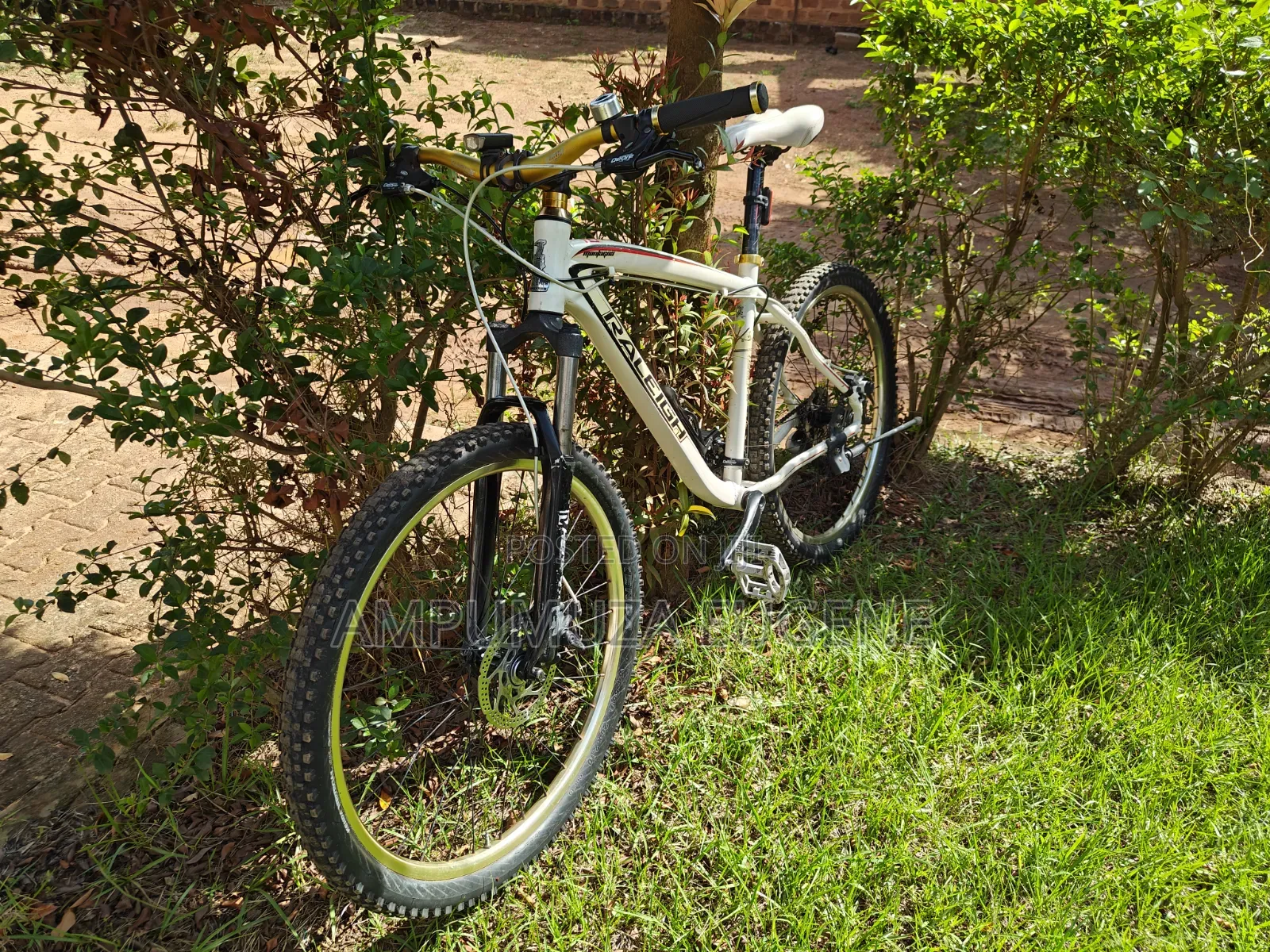 Raleigh Mojave MTB