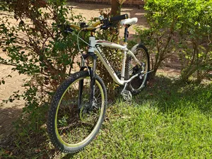 Raleigh Mojave MTB