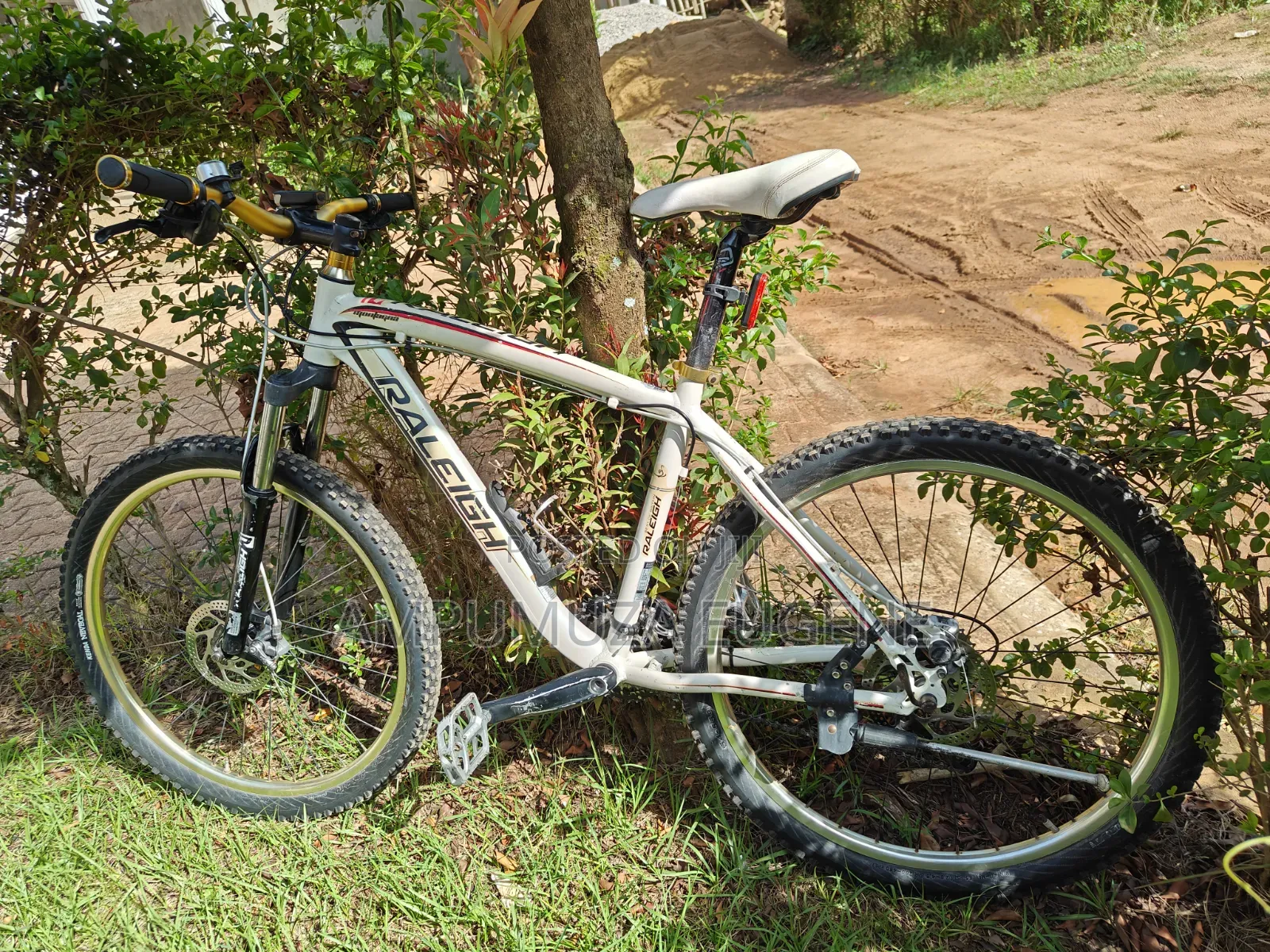 Raleigh Mojave MTB