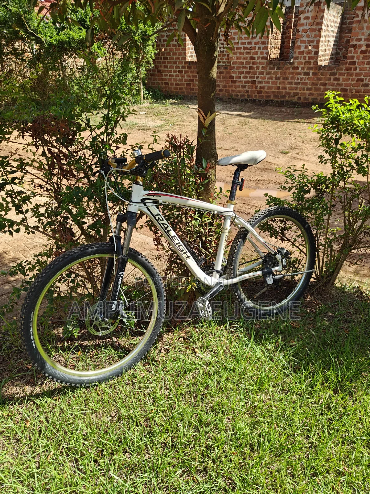 Raleigh Mojave MTB