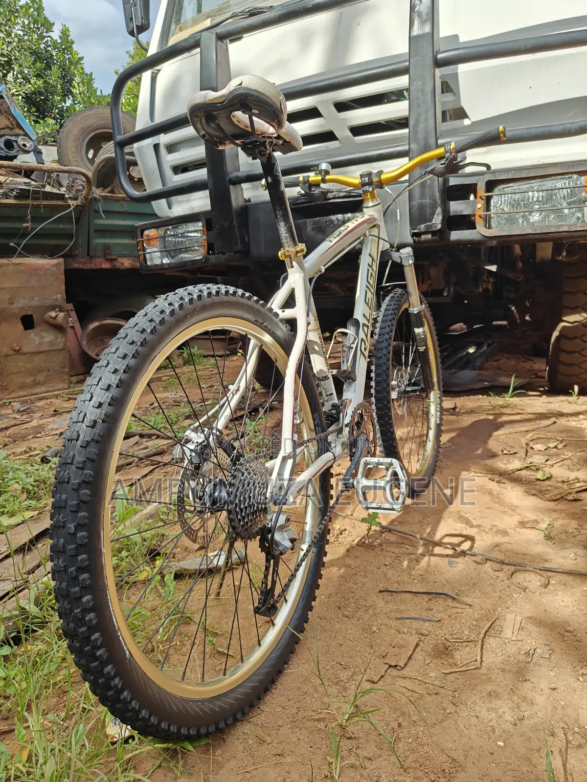 Raleigh Mojave MTB