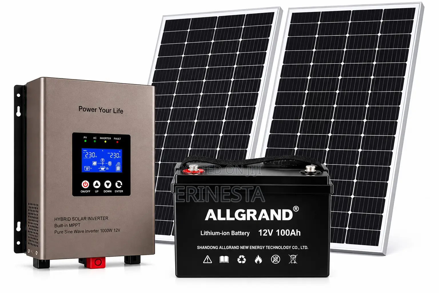 Solar System–1kw Hybrid Inverter+100ah Lifepo4 Battery + 2x450w Panels