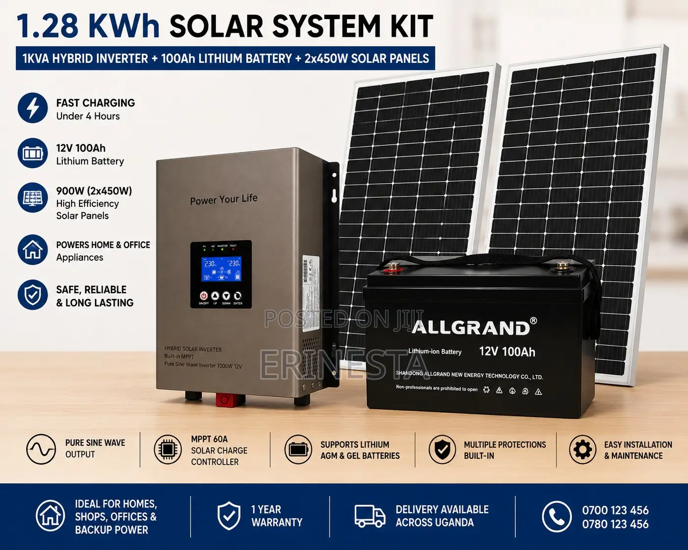 Solar System–1kw Hybrid Inverter+100ah Lifepo4 Battery + 2x450w Panels
