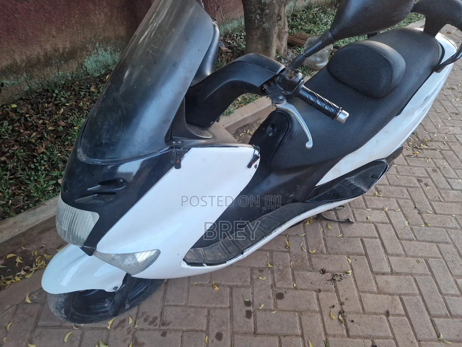 Yamaha Majesty 2016 White
