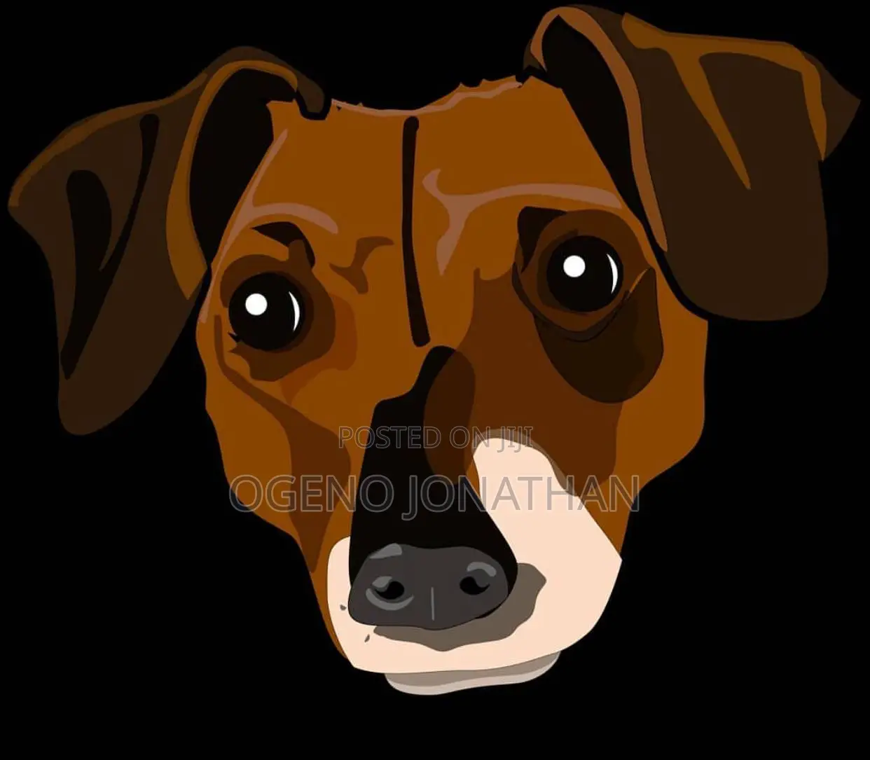 Adobe Illustration