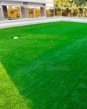 Home Compound Grass Kids Friendly Per Squaremeter