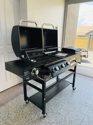 Brandnew Outdoor Modern Gas and Charcoal Grilling Barbecue Machine