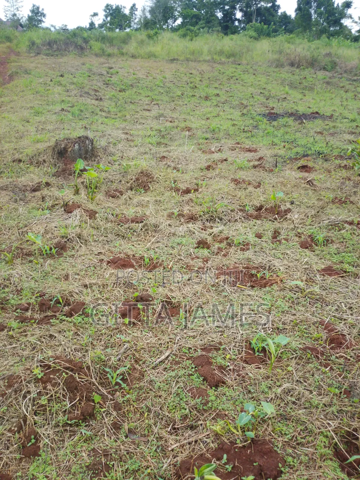 100by100ft La D for Sale by Owner With Ready Private Mailo Land Title