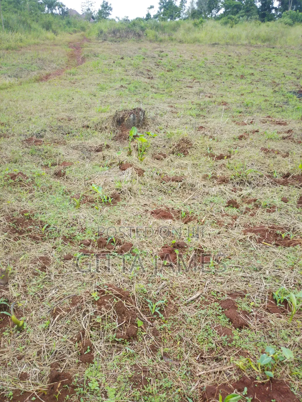 100by100ft La D for Sale by Owner With Ready Private Mailo Land Title