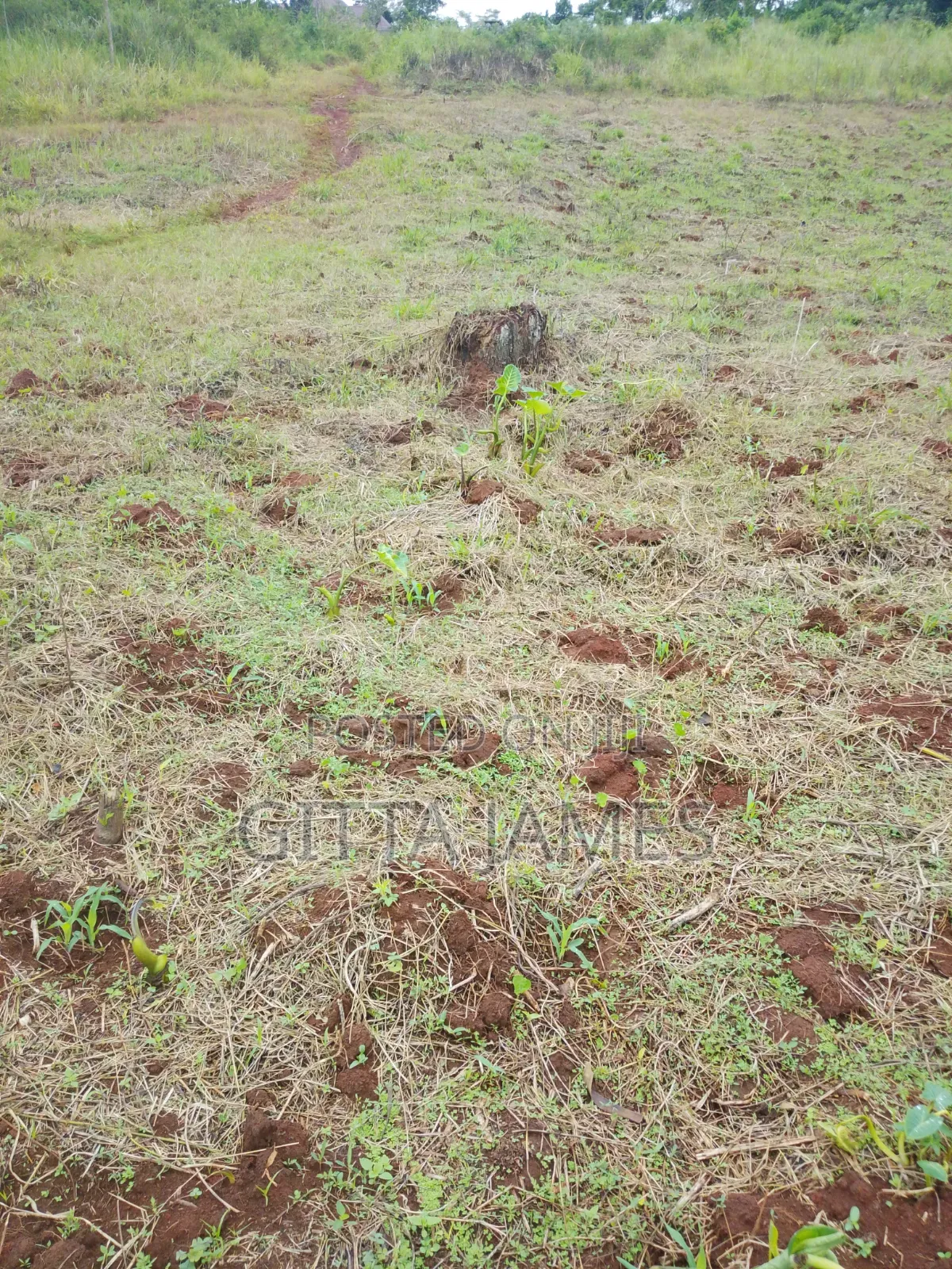 100by100ft La D for Sale by Owner With Ready Private Mailo Land Title