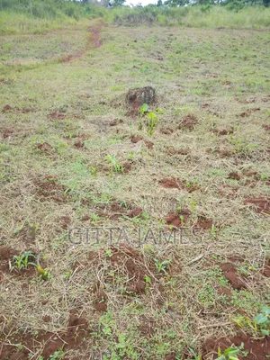 100by100ft La D for Sale by Owner With Ready Private Mailo Land Title