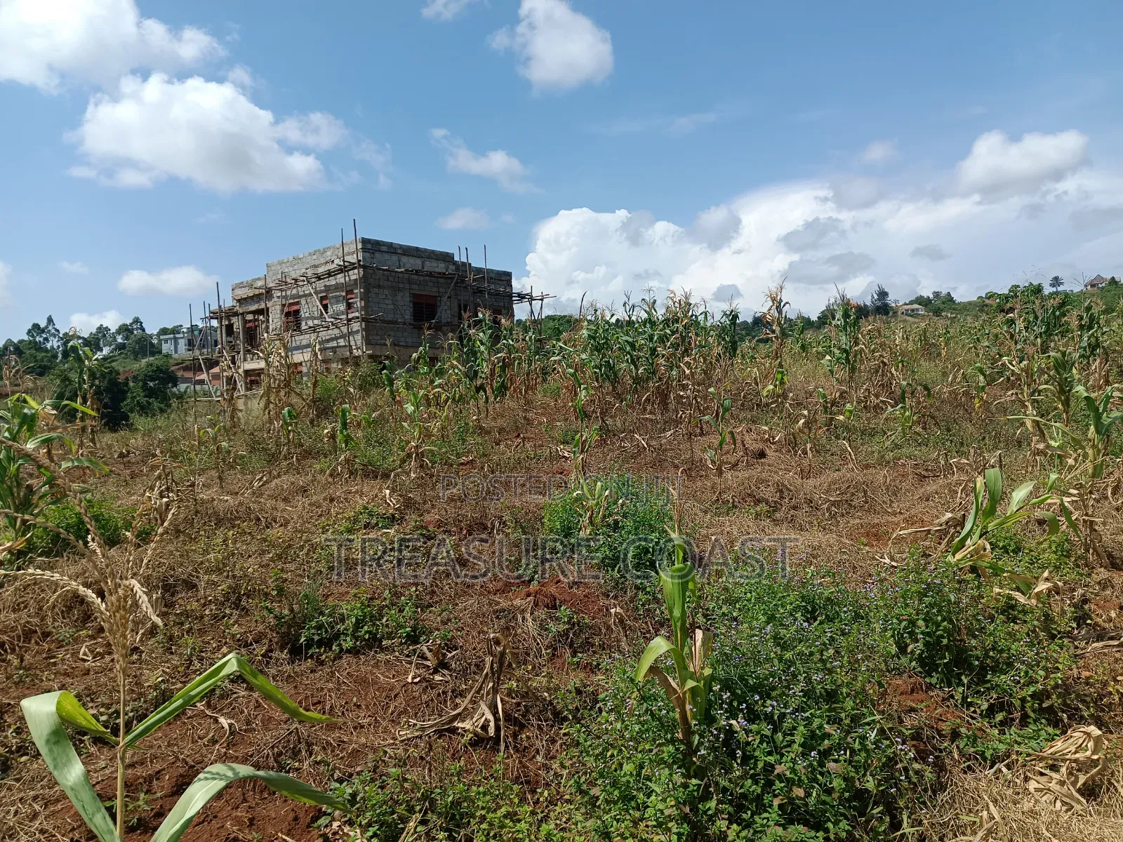 8 Acres for Sale in Ssisa Lutaba