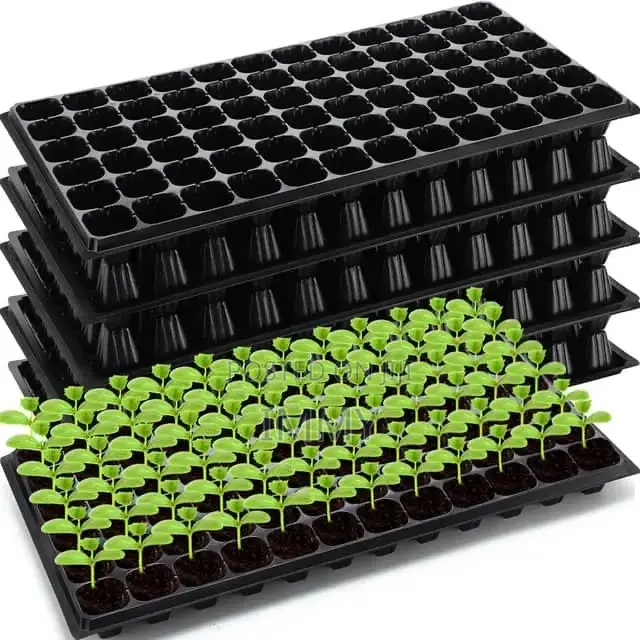 Seedling Trays