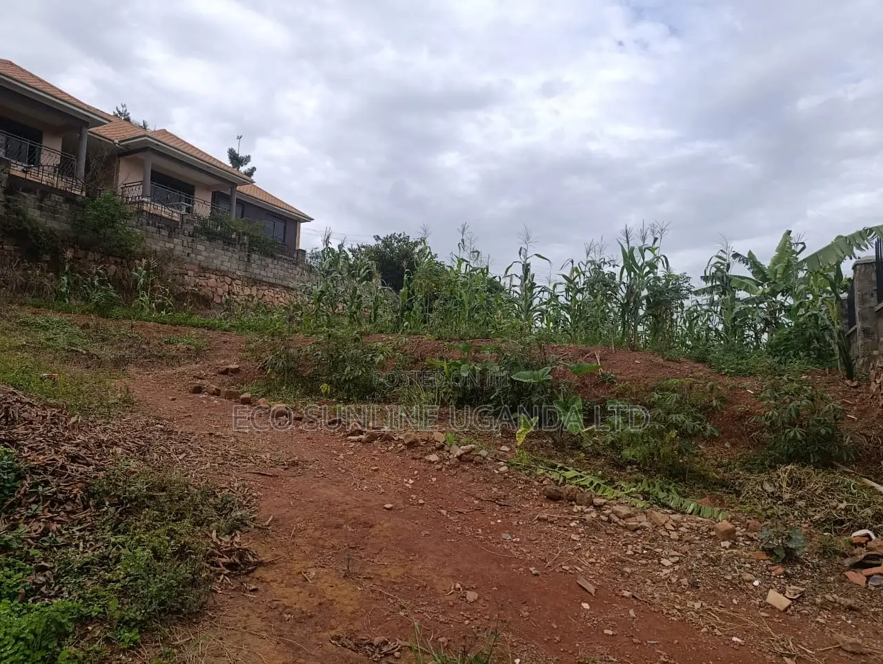 Land for Sale in Nalumunye Jomayi