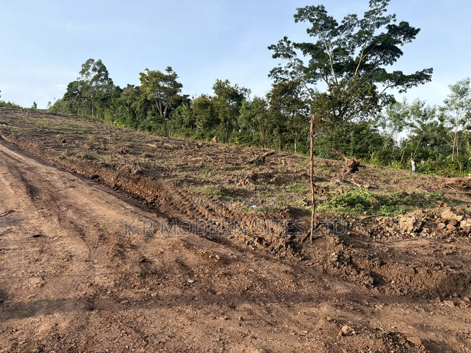 Titled Plot 50*100ft in Wakiso