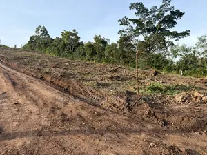 Titled Plot 50*100ft in Wakiso