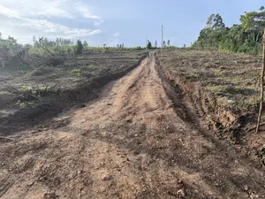 Titled Plot 50*100ft in Wakiso
