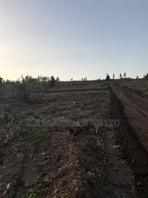 Affordable Plots 50*100ft With Titles