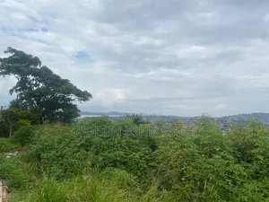 25 Decimals Tophill in Muyenga
