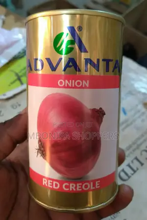 Red Onion Seeds – 50g Pack High Yield Vegetable Seeds for Farm Garden