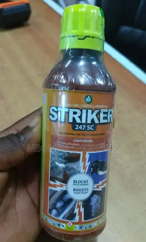 Striker Insecticide Bees and Bedbug Killer