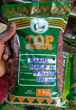 Hybrid Beans ( Per 1 Kg)