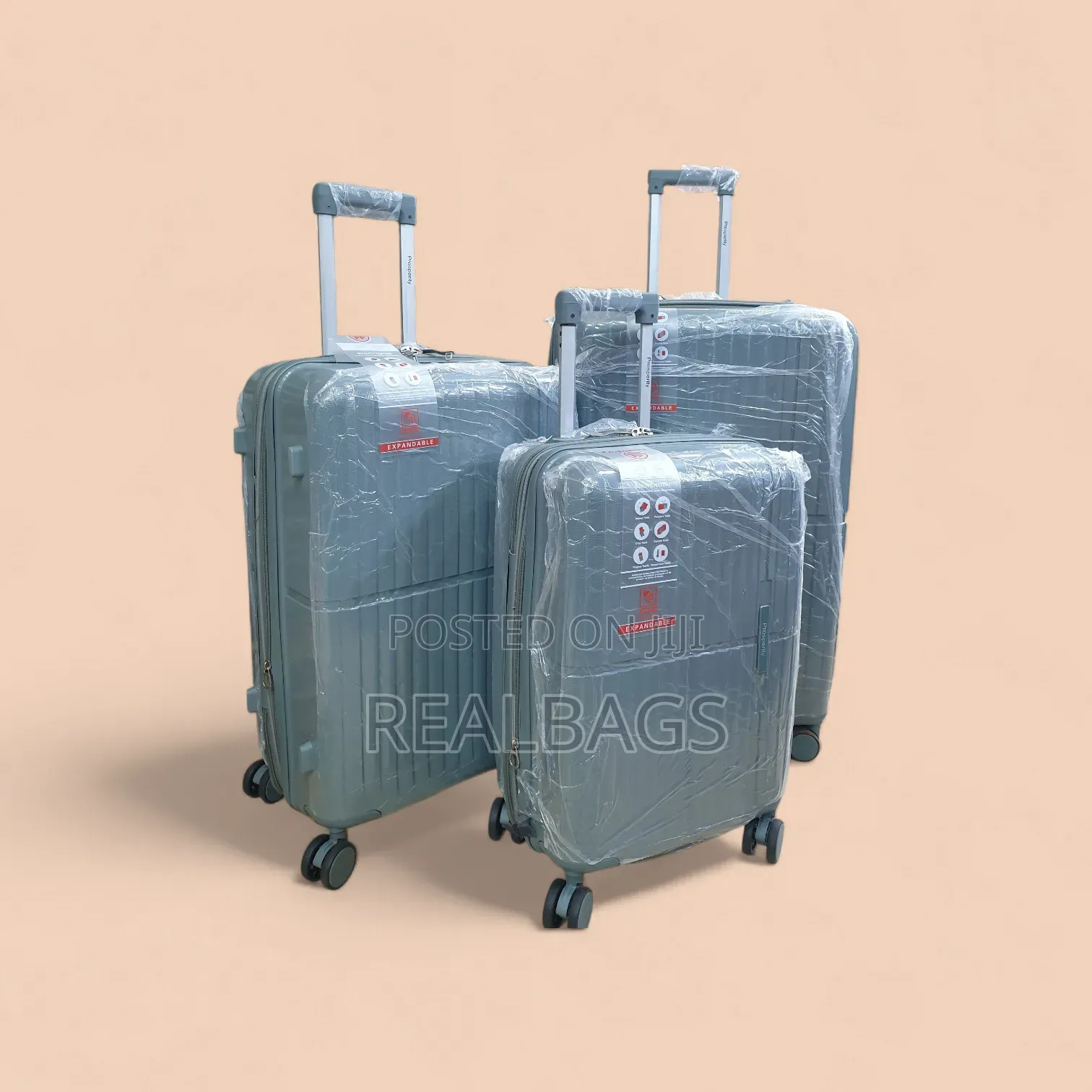 Prosperity Rubber Suitcase