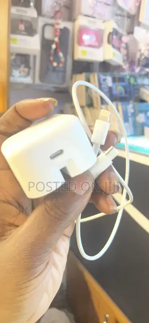 iPhone Charger