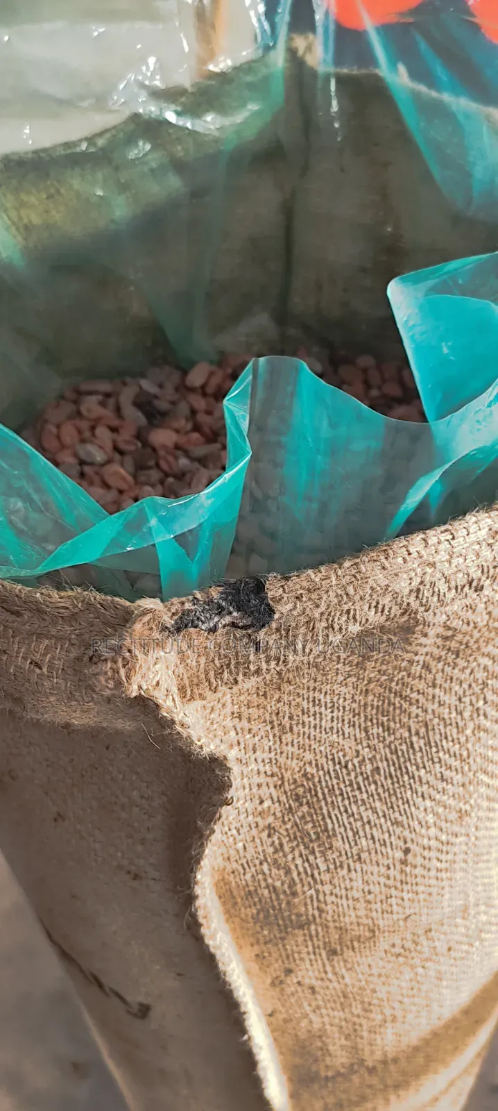 Grainpro Bags
