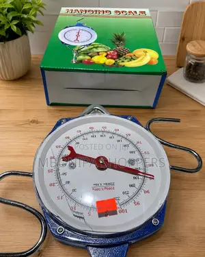 Hanging Dial Scale,100kg Industrial Hanging Scale,Spring Mechanical