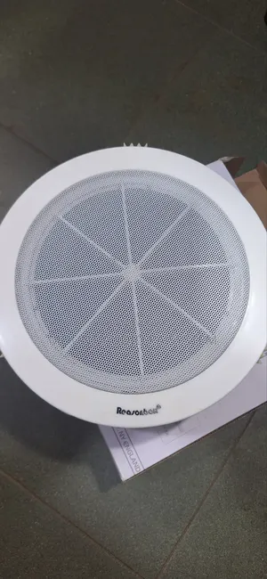 Reasonbok Ceiling Speakers C-2610