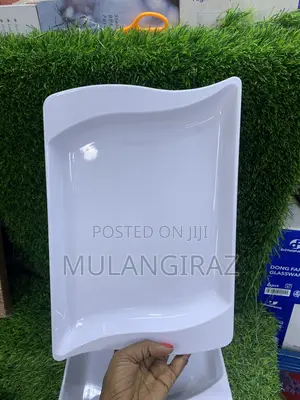 12 Ps Melamine Plates
