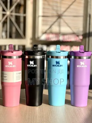 Stanley Insulated Tumbler Cup for Gym, Car Daily Use