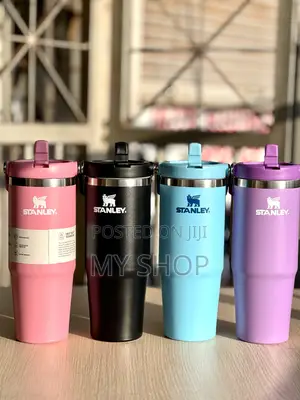 Stanley Insulated Tumbler Cup for Gym, Car Daily Use